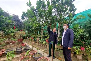 Cuộc thi “Vườn chuẩn nông thôn mới đẹp” tỉnh Nghệ An năm 2022: Lựa chọn cấp Giấy chứng nhận cho 16 vườn đạt giải