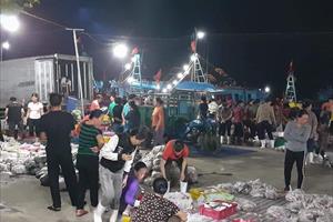 Sáu tháng đầu năm, ngư dân Nghệ An đánh bắt gần 102.000 tấn hải sản