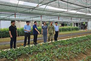 Chủ tịch Hội Làm vườn Việt Nam thăm, làm việc với Hội Làm vườn Nghệ An