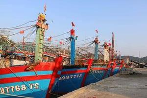 Nghệ An kiên quyết xử lý nghiêm hành vi khai thác hải sản bất hợp pháp