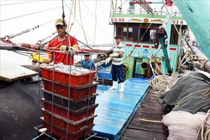 Sản lượng đánh bắt thủy sản trong tháng 10 ở Nghệ An đạt gần 18.600 tấn