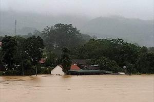 Mưa lớn gây ngập lụt, sạt lở ở nhiều địa phương của Nghệ An