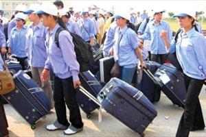 Nghệ An: Xuất khẩu lao động tăng gần gấp đôi trung bình nhiều năm