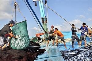 Quảng Nam ứng dụng công nghệ số trong truy xuất nguồn gốc hải sản