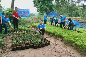 Hội phụ nữ Gia Phú xây dựng thành công mô hình vườn ươm hoa giống