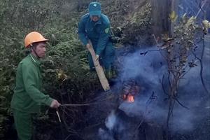 Hơn 800 người tham gia chữa cháy rừng ở Sapa