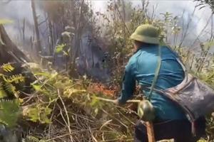Lào Cai khống chế thành công  và ngăn chặn nguy cơ cháy rừng lan rộng
