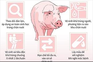 Hà Nam phát hiện ổ dịch tả lợn châu Phi tại xã Thanh Hải
