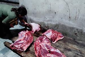 Nguy cơ gây mất an toàn thực phẩm từ cơ sở giết mổ gia súc, gia cầm không phép