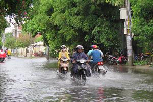 Phú Yên triển khai giải pháp chủ động ứng phó với mưa lớn, ngập lụt