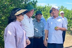 Sơn La trao đổi kinh nghiệm phát triển cây ăn quả với Phú Yên