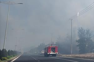 Phú Yên huy động hàng trăm người khống chế cháy rừng dương phòng hộ ven biển