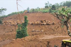 Chủ đất đào bới, san ủi đất trồng cây lâu năm, 7 tháng chưa chấp hành quyết định xử phạt của UBND huyện  Sơn Hoà