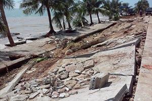 Thanh Hóa: Chỉ riêng một huyện ven biển đã báo cáo thiệt hại gần 900 tỷ đồng
