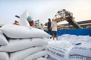 Xuất khẩu gạo 2016: Hạ mục tiêu vẫn không dễ hoàn thành