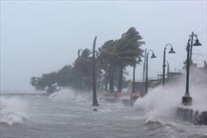 Siêu bão Irma làm chết 14 người ở vùng Caribe, tiến tới Florida