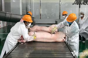 Giá lợn hơi đi xuống, rời xa mốc 60.000 đồng/kg, tiêu thụ vẫn chậm