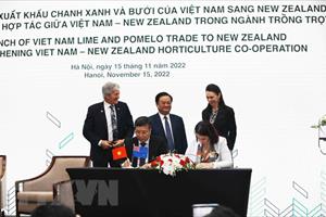 Nông nghiệp là nền tảng của mối quan hệ đối tác Việt Nam-New Zealand