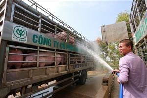 Phó thủ tướng chỉ đạo nghiên cứu phản ánh vấn đề xuất khẩu thịt heo