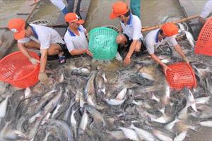 Lần đầu tổ chức Lễ hội cá tra tại thủ phủ cá tra Hồng Ngự