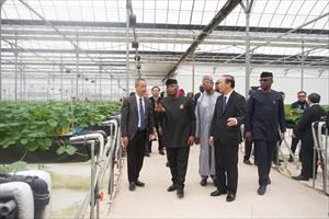 Thúc đẩy hợp tác nông nghiệp Việt Nam – Nigeria
