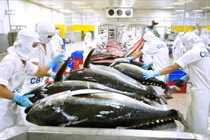 Xuất khẩu cá ngừ lần đầu tiên đạt mốc 1 tỷ USD