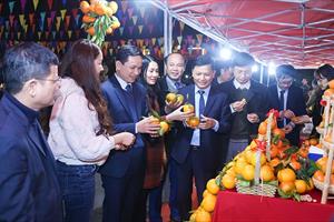 Khai mạc Lễ hội Cam và các sản phẩm nông nghiệp Hà Tĩnh lần thứ 5