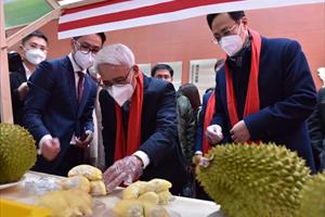 Tưng bừng Lễ hội trái cây và sầu riêng Việt Nam tại Trung Quốc