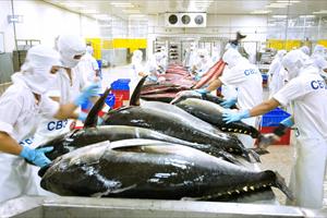 Hơn 1 tỷ USD thu từ xuất khẩu cá ngừ, thị trường Mỹ chiếm 48%