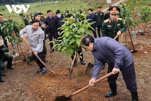 Nam Đàn phấn đấu trồng mới 150 ha rừng tập trung, 330.000 cây phân tán