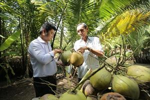 Xuất khẩu sản phẩm dừa tiệm cận 1 tỷ USD
