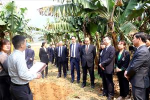 Đoàn đại biểu Chính quyền nhân dân châu Văn Sơn sang thăm mô hình kinh tế tỉnh Hà Giang