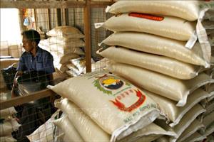 Năm 2023, Thái Lan dự kiến xuất khẩu 8 triệu tấn gạo