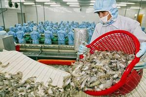 Xuất khẩu thủy sản sang Trung Quốc: Đẩy nhanh tiến độ gỡ vướng thủ tục