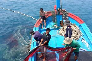 Công điện của Thủ tướng về chống khai thác hải sản bất hợp pháp