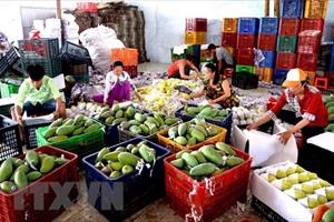 Xuất khẩu mặt hàng rau quả: Nhiều tín hiệu khả quan trong quý 2