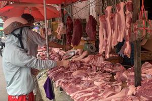 Giá lợn hơi tăng lên mức 55.000 đồng/kg ở các tỉnh phía Nam