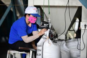 Toàn cầu thiếu gạo, Bộ trưởng Lê Minh Hoan nhắc 'đừng để mất cơ hội'
