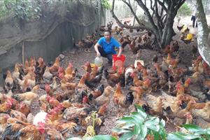 Ngành Nông nghiệp Bắc Giang với những “kỳ tích” giữa nhiệm kỳ