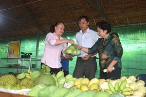Những thị trường xuất khẩu rau quả lớn của Việt Nam