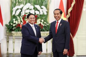 Việt Nam và Indonesia hướng tới quan hệ Đối tác Chiến lược Toàn diện
