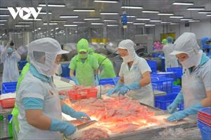 Kinh tế tuần hoàn, giảm phát thải chuỗi cá tra tại Việt Nam