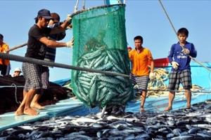 Quyết liệt triển khai các giải pháp cấp bách chống khai thác hải sản bất hợp pháp