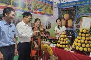 Khai mạc Lễ hội Cam và các sản phẩm nông nghiệp Hà Tĩnh lần thứ 6