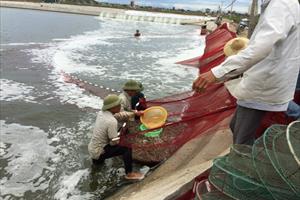 Giải pháp phát triển bền vững nuôi trồng thủy sản ở Nghệ An