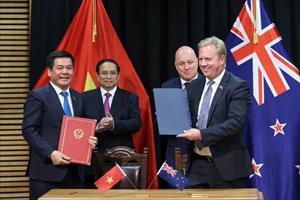 Việt Nam-New Zealand hướng tới kim ngạch thương mại 2 tỷ USD trong năm 2024