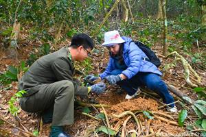 Thanh Hoá: Trồng hơn 19.000 cây xanh tại Vườn Quốc gia Bến En