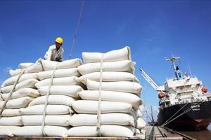 Sàn giao dịch lúa gạo: Cần thoát khỏi câu chuyện “tên gọi mới”