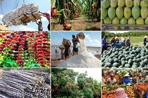 Tăng độ phủ thị trường xuất khẩu nông sản và 