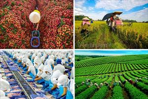 Nâng tầm thương hiệu Nông nghiệp Việt Nam đối với cộng đồng quốc tế